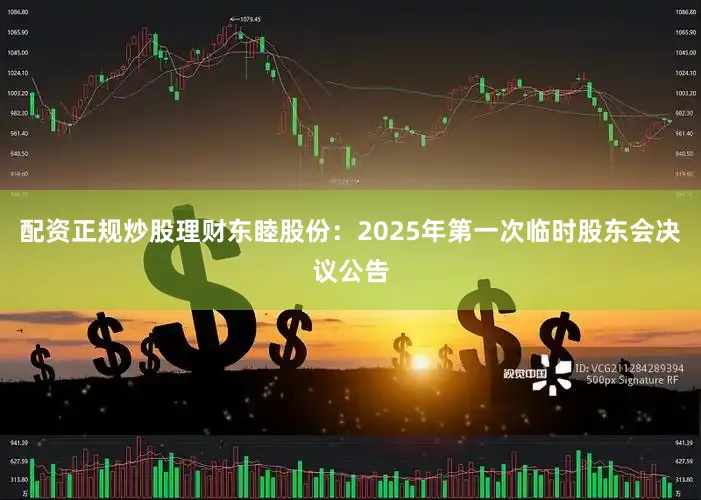 配资正规炒股理财东睦股份：2025年第一次临时股东会决议公告