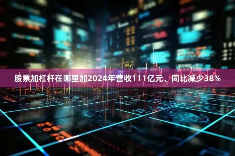 股票加杠杆在哪里加2024年营收111亿元、同比减少38%