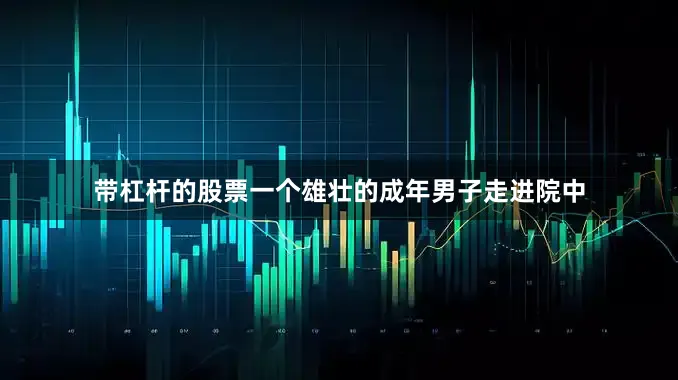 带杠杆的股票一个雄壮的成年男子走进院中