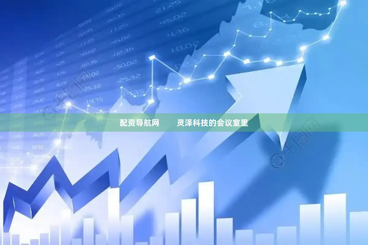 配资导航网        灵泽科技的会议室里